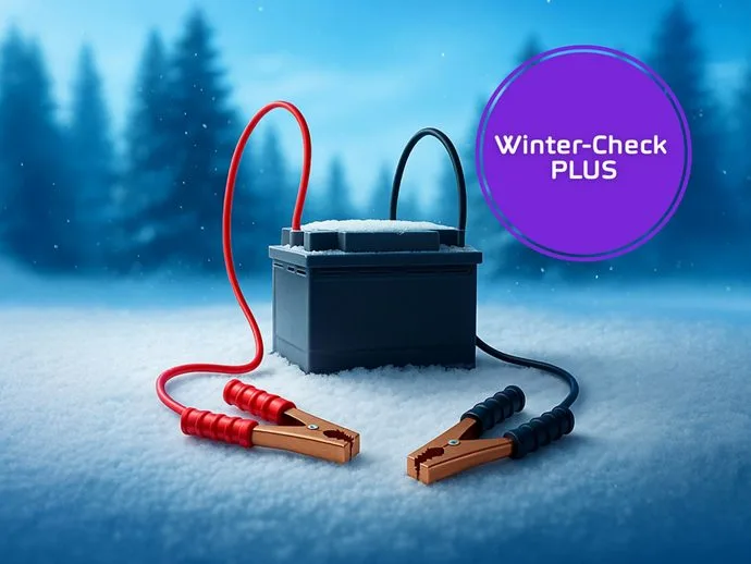 Winter-Check PLUS für nur CHF 59.–